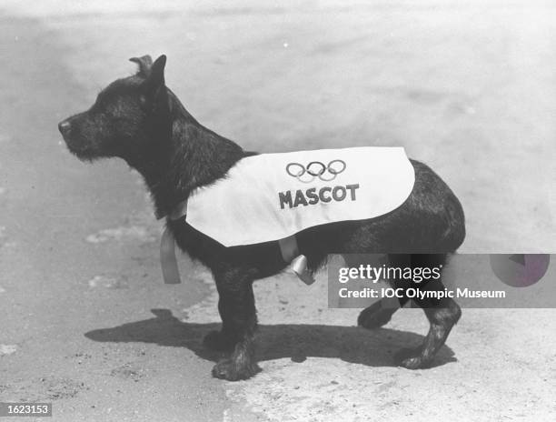 数字解读2004奥运会奖牌榜:奖牌总数与国家实力对比