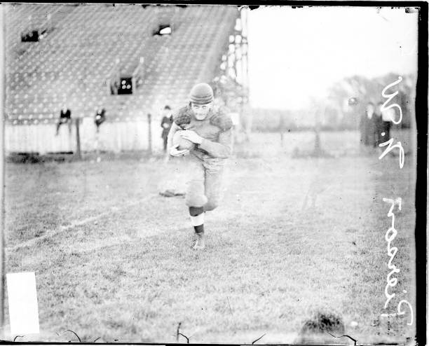 郭晶晶面相的独特之处：为何能成为跳水皇后并收获美满人生？