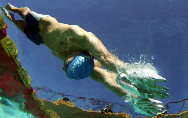 专家分析:孙杨保持的游泳纪录还能坚守多久?