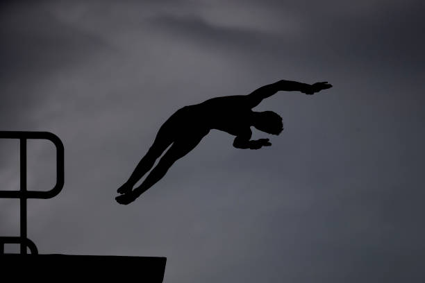 郭晶晶简历解析:体育传奇与社会角色的完美融合