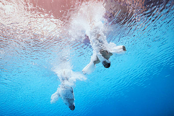 跳水比赛失误频现,陈若琳队友需尽快找回状态