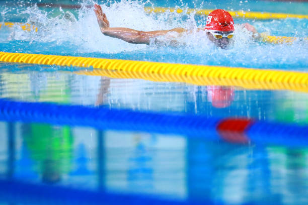 自由泳动作要领总结:从入门到精通的完整指南