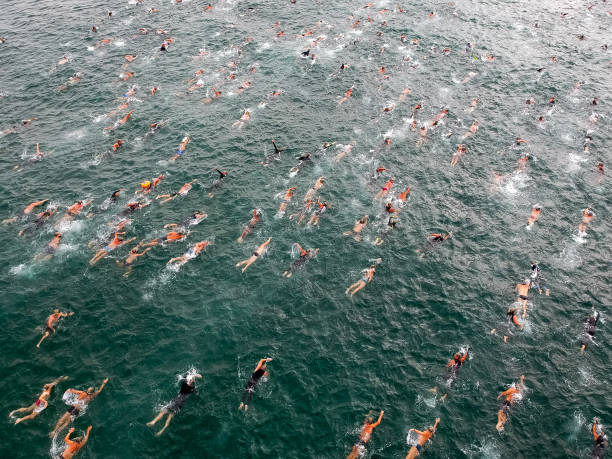 2021年U系列游泳比赛官网观赛指南:如何在线观看比赛