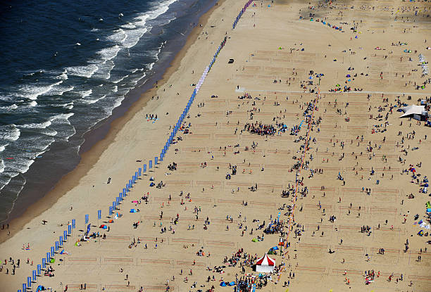 中考排球入门必学：视频教学带你掌握核心技巧