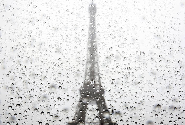 分析塔伊萨拉西奇中的象征与隐喻手法