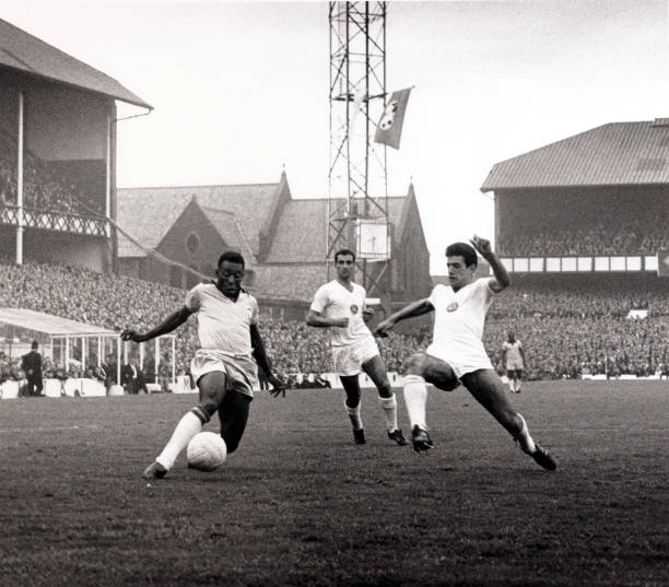 探索拉伊卜：卡塔尔世界杯吉祥物的全球影响力与受欢迎原因